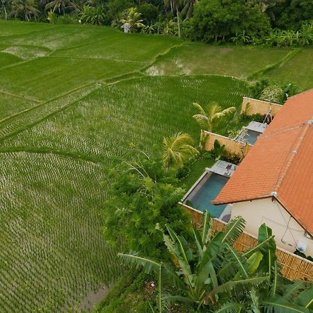 Uma Rimbun Pool Villa By Uniquecations Ubud Zewnętrze zdjęcie