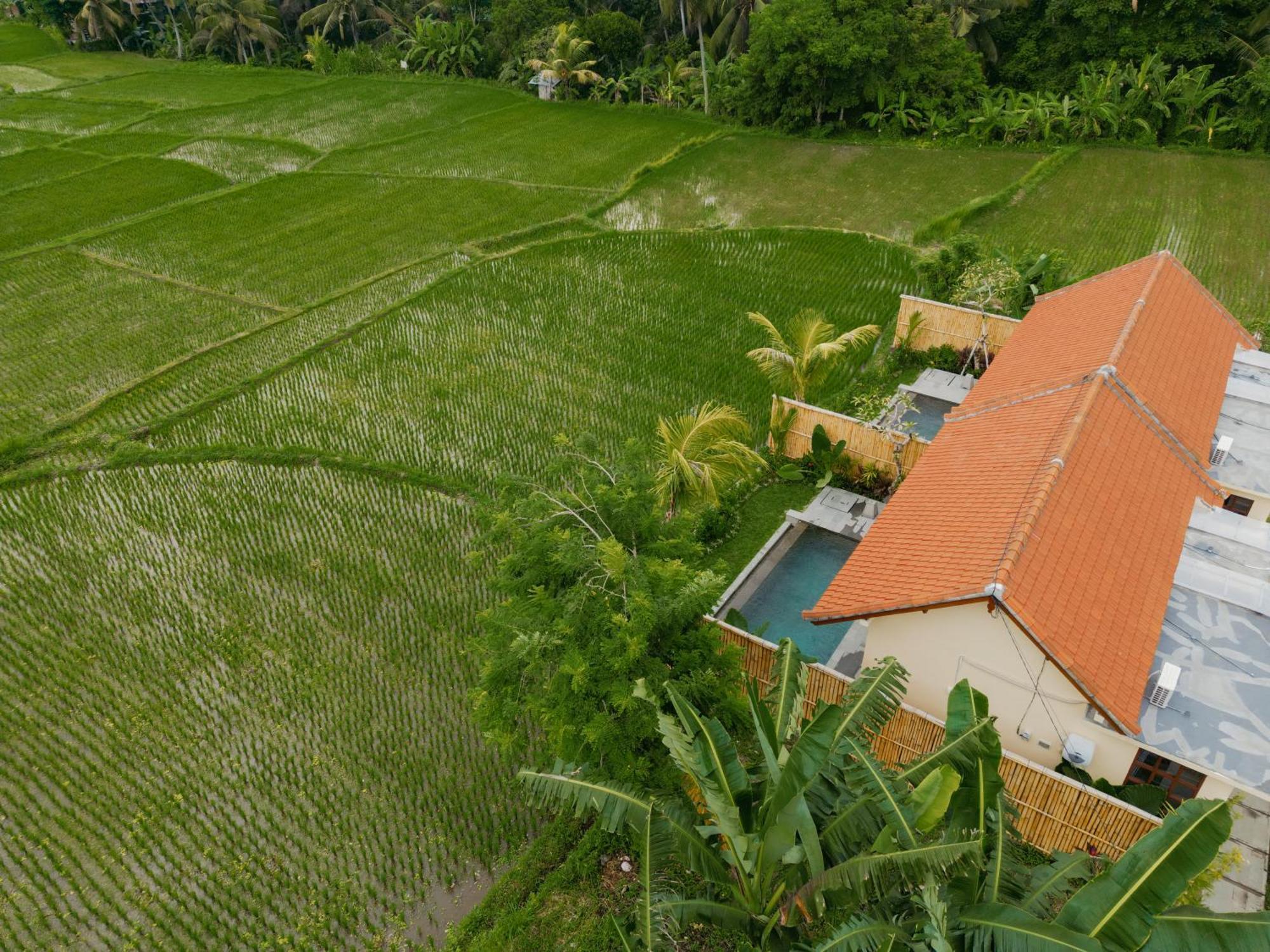Uma Rimbun Pool Villa By Uniquecations Ubud Zewnętrze zdjęcie